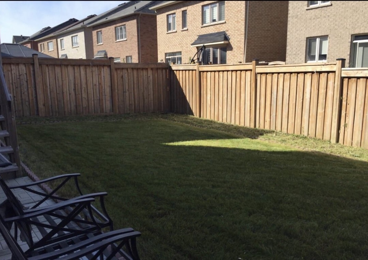 Same backyard cut down clean after a full cleanup