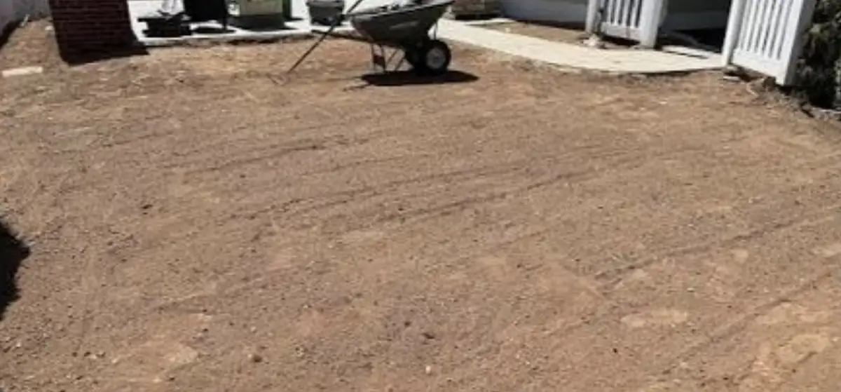 Bare graded backyard soil prepped before sod installation