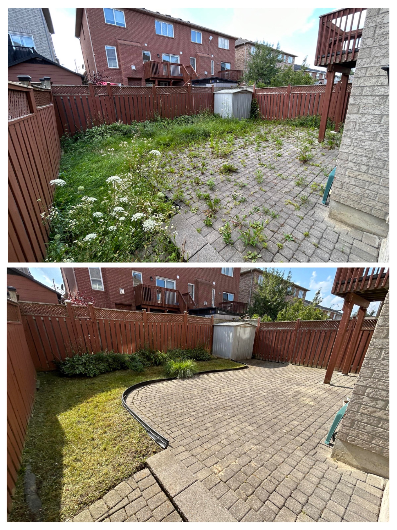 Overgrown paver patio before and after a full hardscape restoration