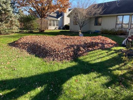 Large pile of raked leaves on a lawn during a fall cleanup