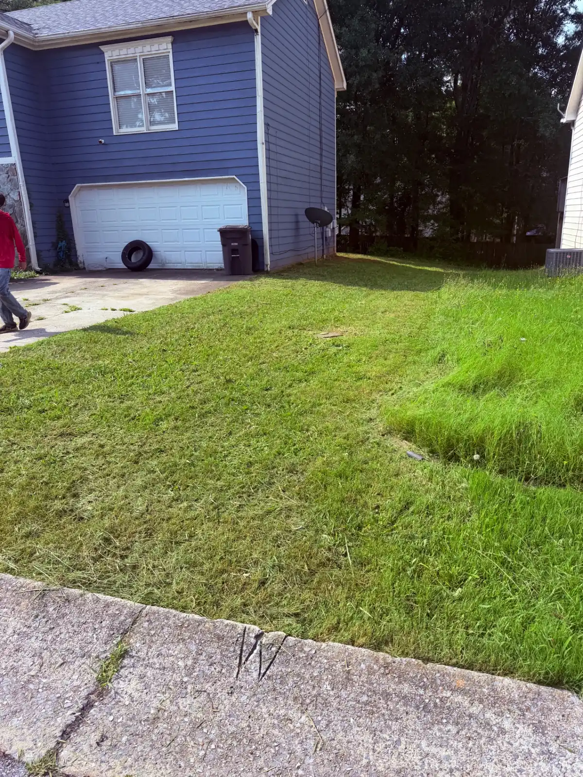 Same front yard after a full cleanup and cut