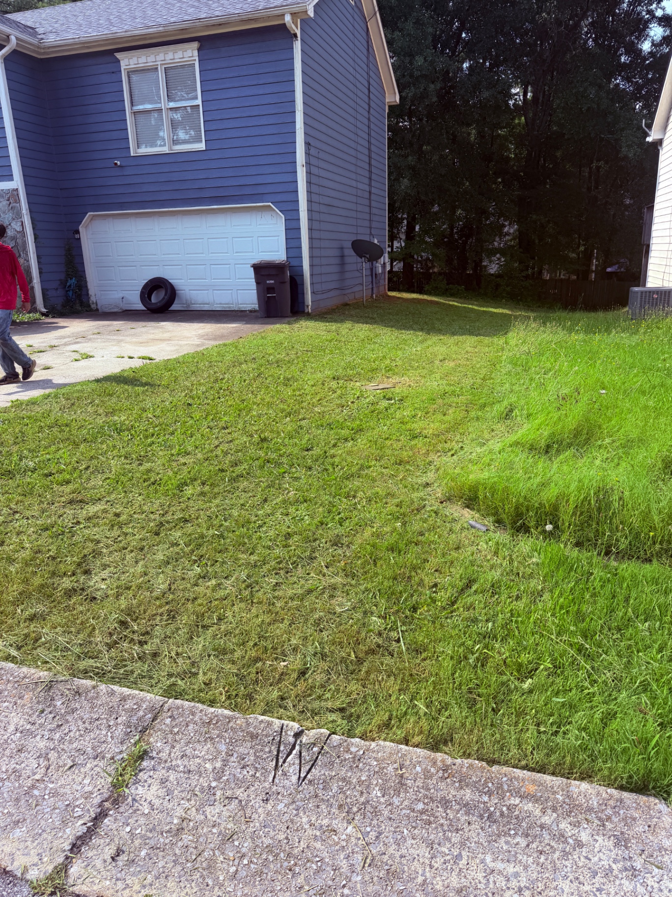 Same front yard after a full cleanup and cut