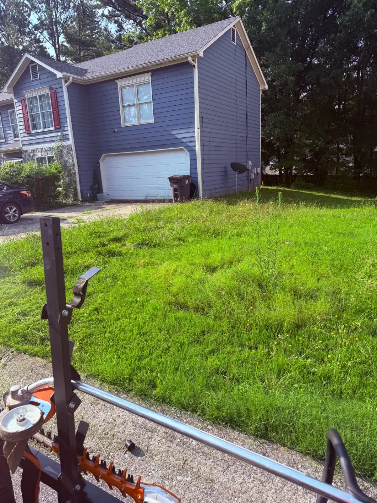 Overgrown front yard before a full cleanup