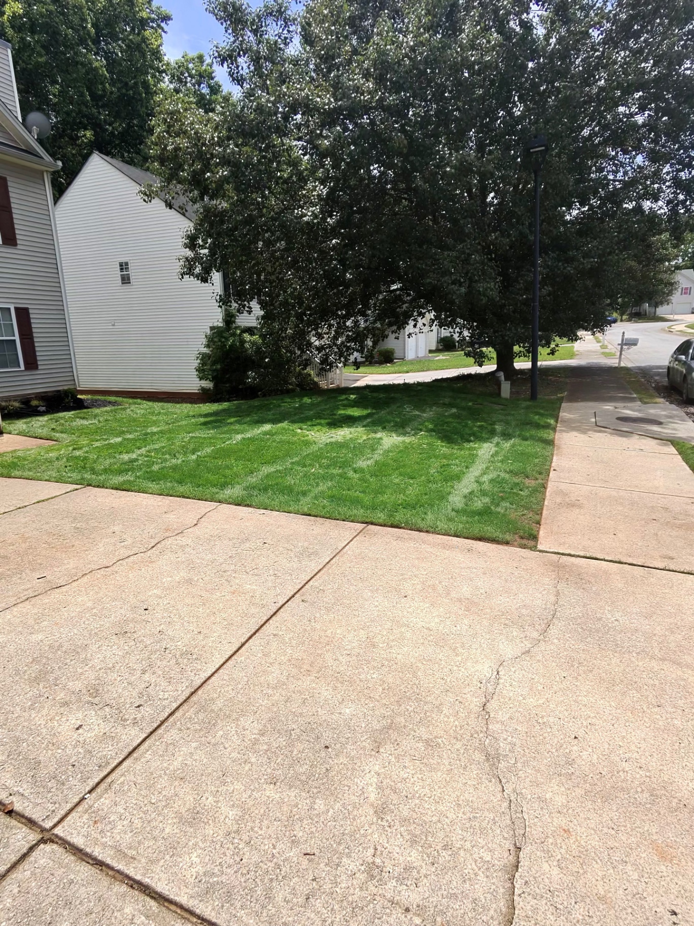 Freshly mowed front lawn with clean stripes