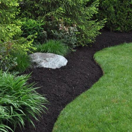 Premium dark mulch bed with crisp curved edge against fresh-cut lawn