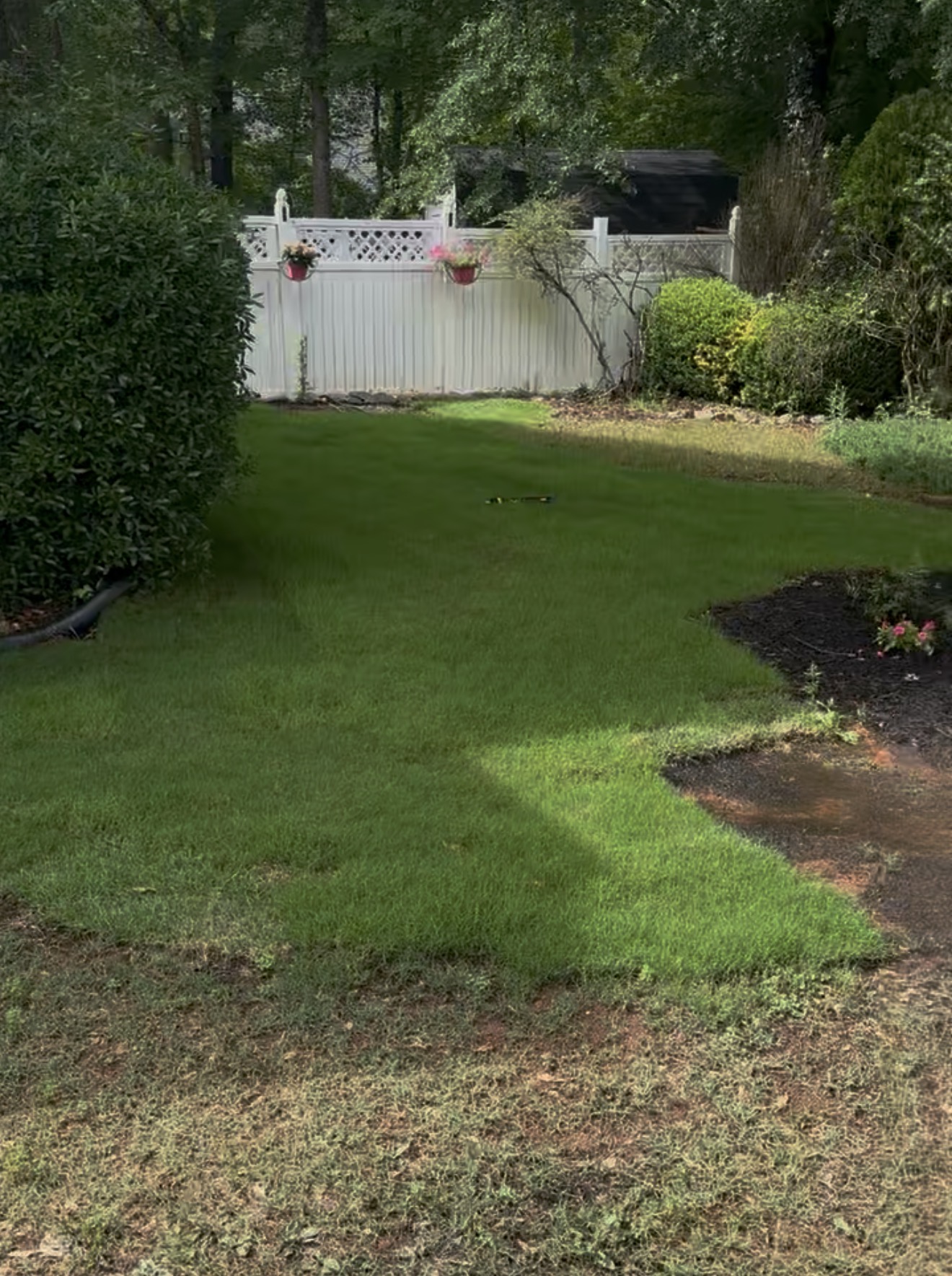 Fresh sod laid across a fenced backyard in Powder Springs, GA
